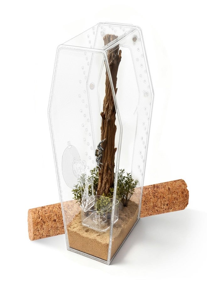 Dmnnlp Jumping Spider Enclosure, Magnetic Door Acrylic Terrarium with Feeding Dish & Landscape Stick for Tarantula Snails Insects Reptiles Plants, Coffin Shape Tabletop Decor 4" x 4" x 8" - Image 1